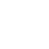 Radios icon