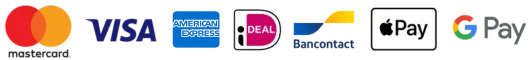 Supported secure payment checkout icons including Visa, Mastercard, American Express, and bank methods